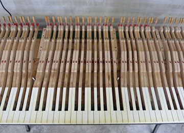 Piano Reconditioning